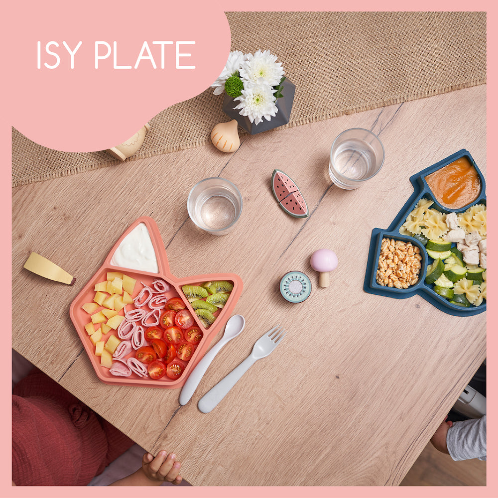 ISY Plate Fox.